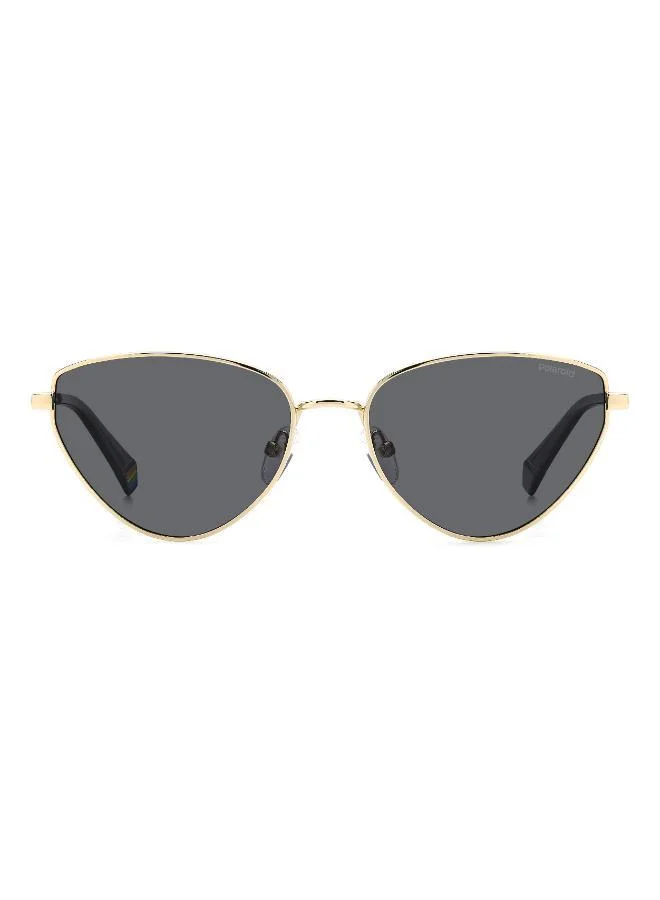 Cat Eye Sunglasses Frames